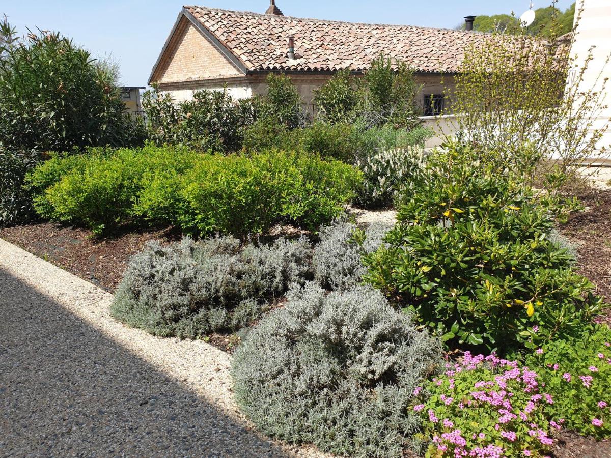 Olivola Apartments Frassinello Monferrato Экстерьер фото