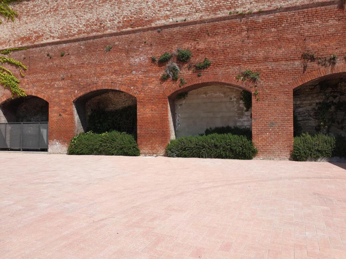 Olivola Apartments Frassinello Monferrato Экстерьер фото