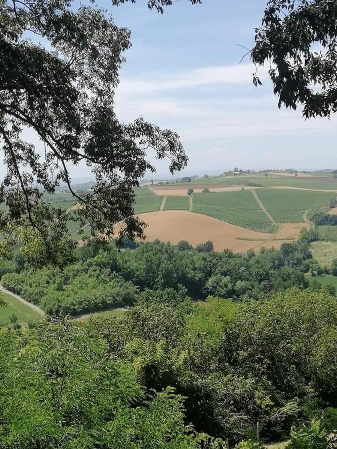 Olivola Apartments Frassinello Monferrato Экстерьер фото