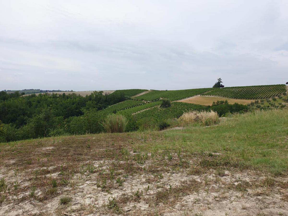 Olivola Apartments Frassinello Monferrato Экстерьер фото
